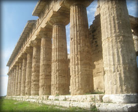 Osteophathic Models of Human Function